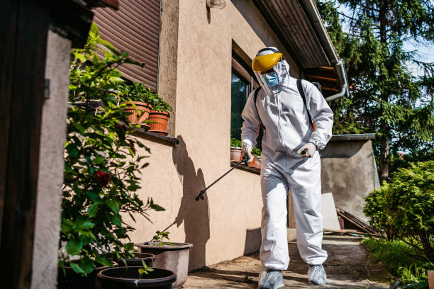 Best Ant Control Services  in Rogers City, MI