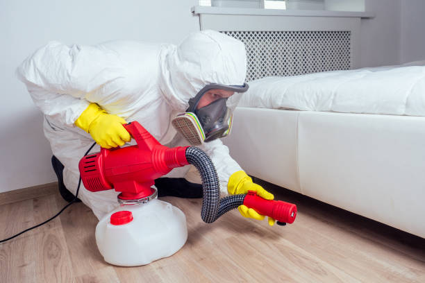 Best Emergency Pest Control  in Rogers City, MI
