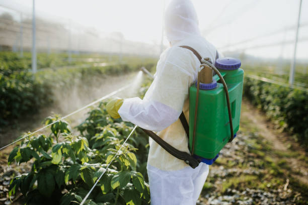 Best Pest Control Near Me  in Rogers City, MI